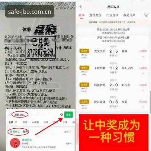 JBO竞博官网入口对比深度分析：安全通道与防伪验证全面解析